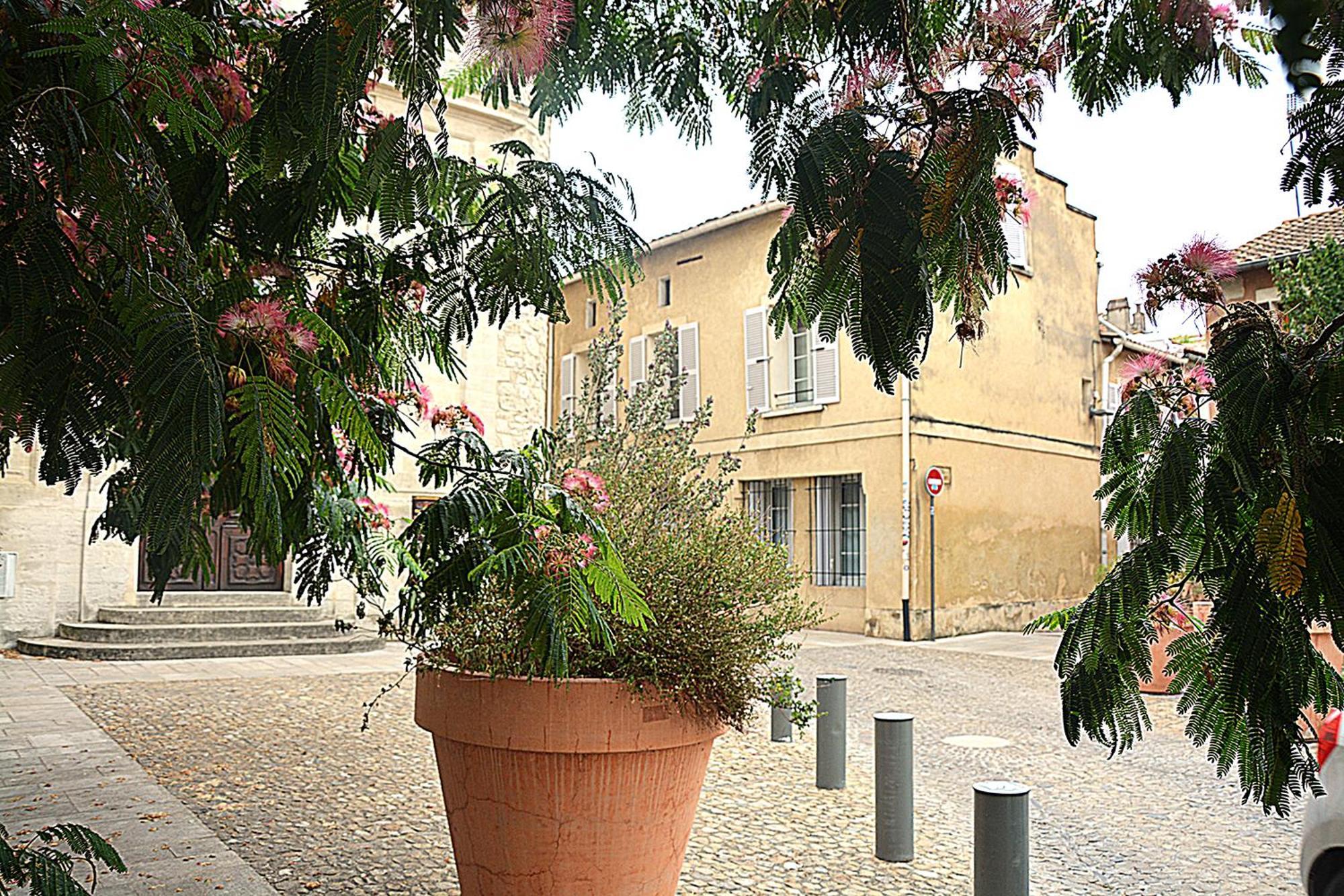 Maison Rascas - Centre Historique - Air Conditioning- Wifi Apartment